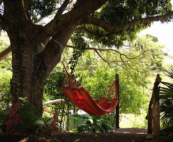 Palmlea Farms Lodge & Bures - Villas Labasa Dış mekan fotoğraf